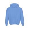 Youth Hoodie for Comfort & Style, Cozy Kids Sweatshirt, Perfect for Playdates, School, Gifts, Holiday Apparel