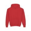 Youth Hoodie for Comfort & Style, Cozy Kids Sweatshirt, Perfect for Playdates, School, Gifts, Holiday Apparel