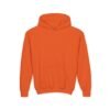 Youth Hoodie for Comfort & Style, Cozy Kids Sweatshirt, Perfect for Playdates, School, Gifts, Holiday Apparel