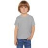 Toddler T-shirt, Cute Kids Tee, Birthday Gift for Boys or Girls, Funny Toddler Top, Comfortable Toddler Shirt, Playful Kids Apparel