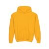 Youth Hoodie for Comfort & Style, Cozy Kids Sweatshirt, Perfect for Playdates, School, Gifts, Holiday Apparel