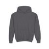 Youth Hoodie for Comfort & Style, Cozy Kids Sweatshirt, Perfect for Playdates, School, Gifts, Holiday Apparel