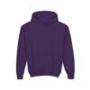 Youth Hoodie for Comfort & Style, Cozy Kids Sweatshirt, Perfect for Playdates, School, Gifts, Holiday Apparel
