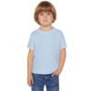 Toddler T-shirt, Cute Kids Tee, Birthday Gift for Boys or Girls, Funny Toddler Top, Comfortable Toddler Shirt, Playful Kids Apparel