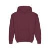 Youth Hoodie for Comfort & Style, Cozy Kids Sweatshirt, Perfect for Playdates, School, Gifts, Holiday Apparel