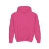 Youth Hoodie for Comfort & Style, Cozy Kids Sweatshirt, Perfect for Playdates, School, Gifts, Holiday Apparel